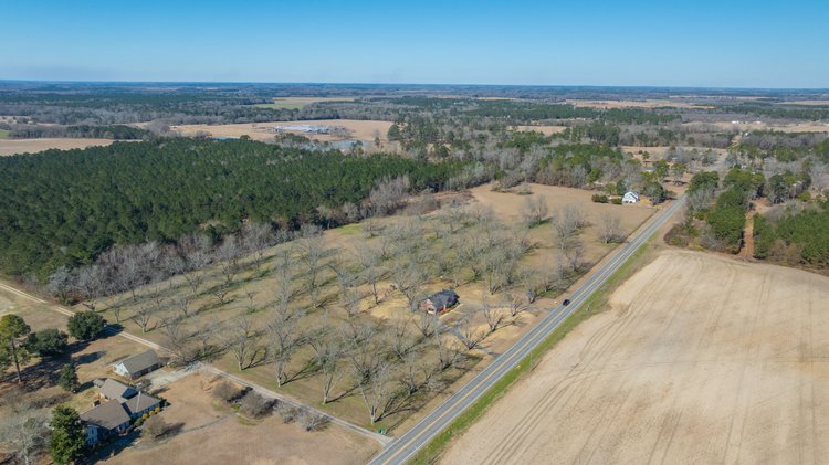 Image for 23.9± Acres - Beautiful Brick Home - Income-Producing Pecan Orchard - Development Potential in Vienna, GA