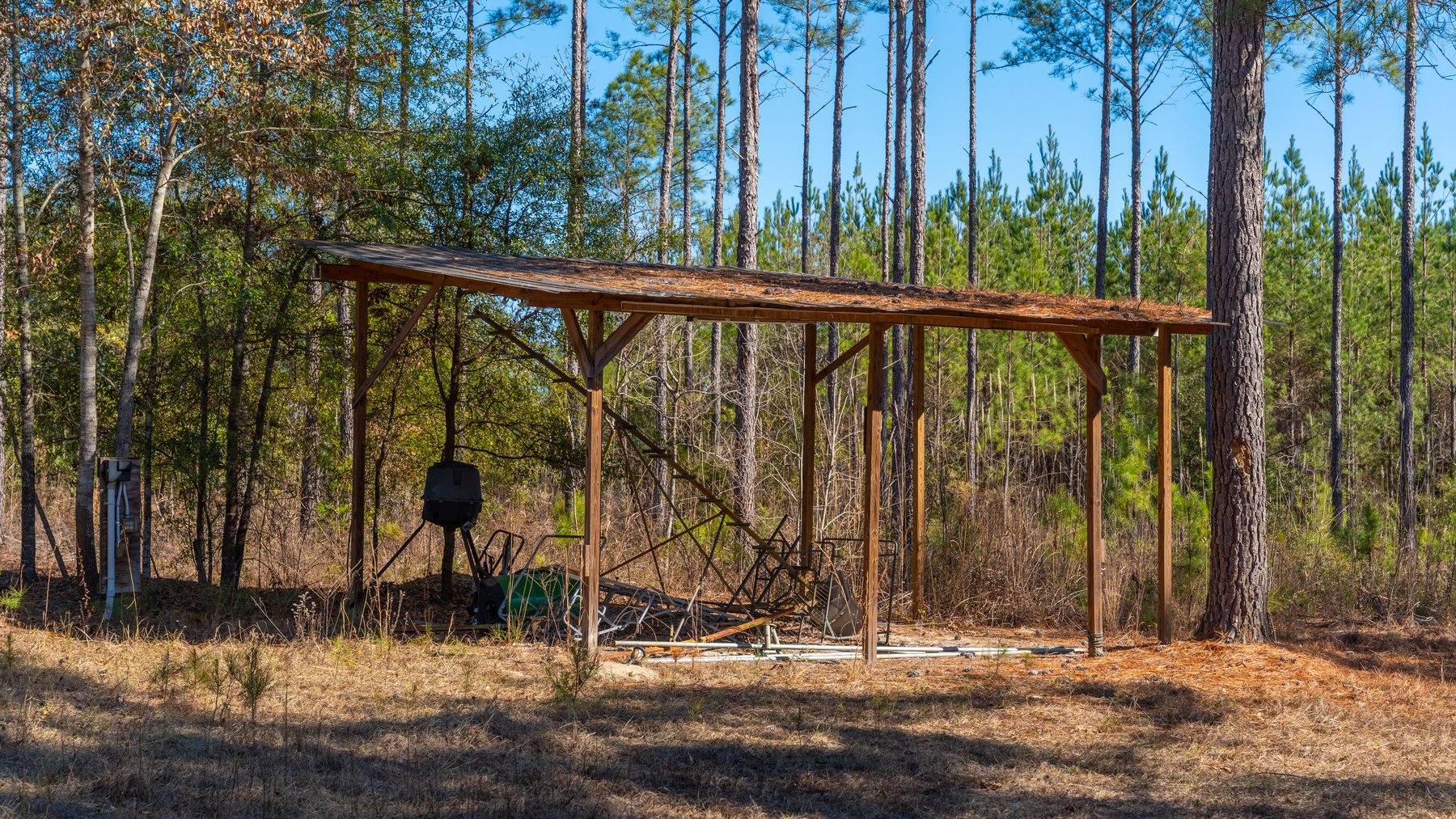 Image for 310± Total Acres - Simpson Tract - Planted Pines & Premium Hunting - Clear Creek Frontage