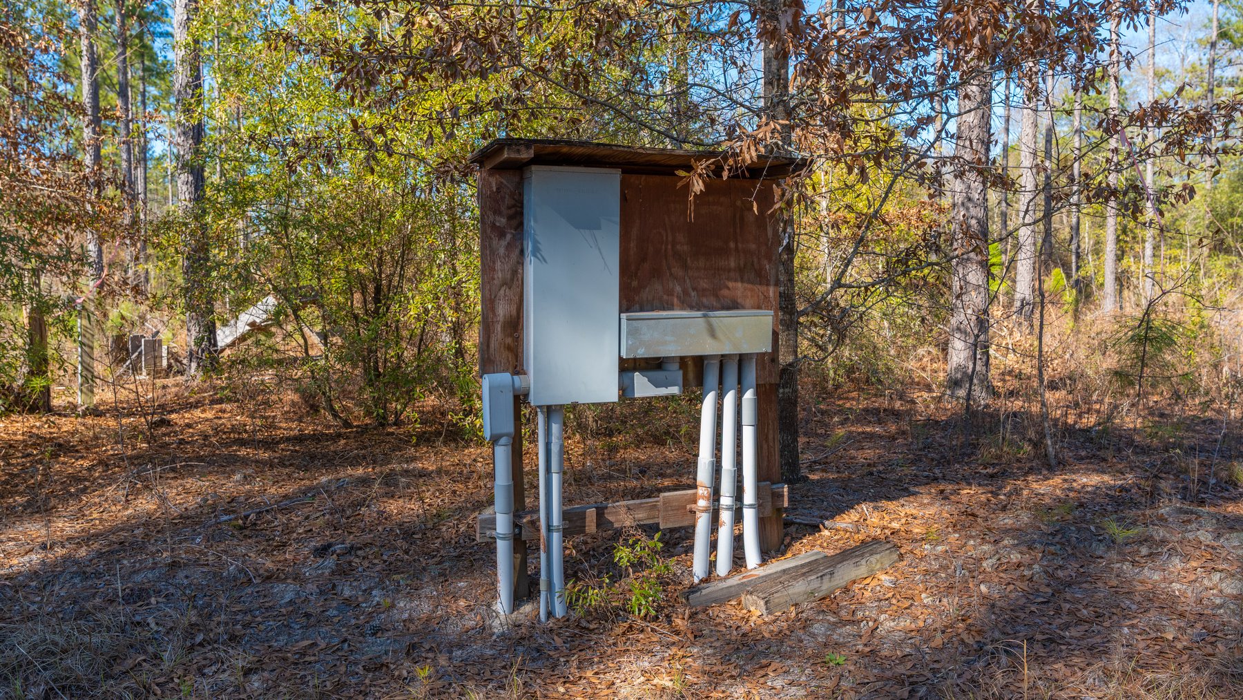 Image for 310± Total Acres - Simpson Tract - Planted Pines & Premium Hunting - Clear Creek Frontage