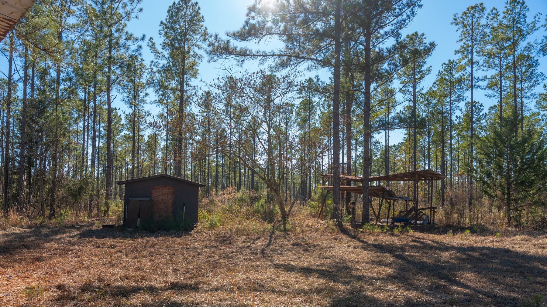 Image for 310± Total Acres - Simpson Tract - Planted Pines & Premium Hunting - Clear Creek Frontage