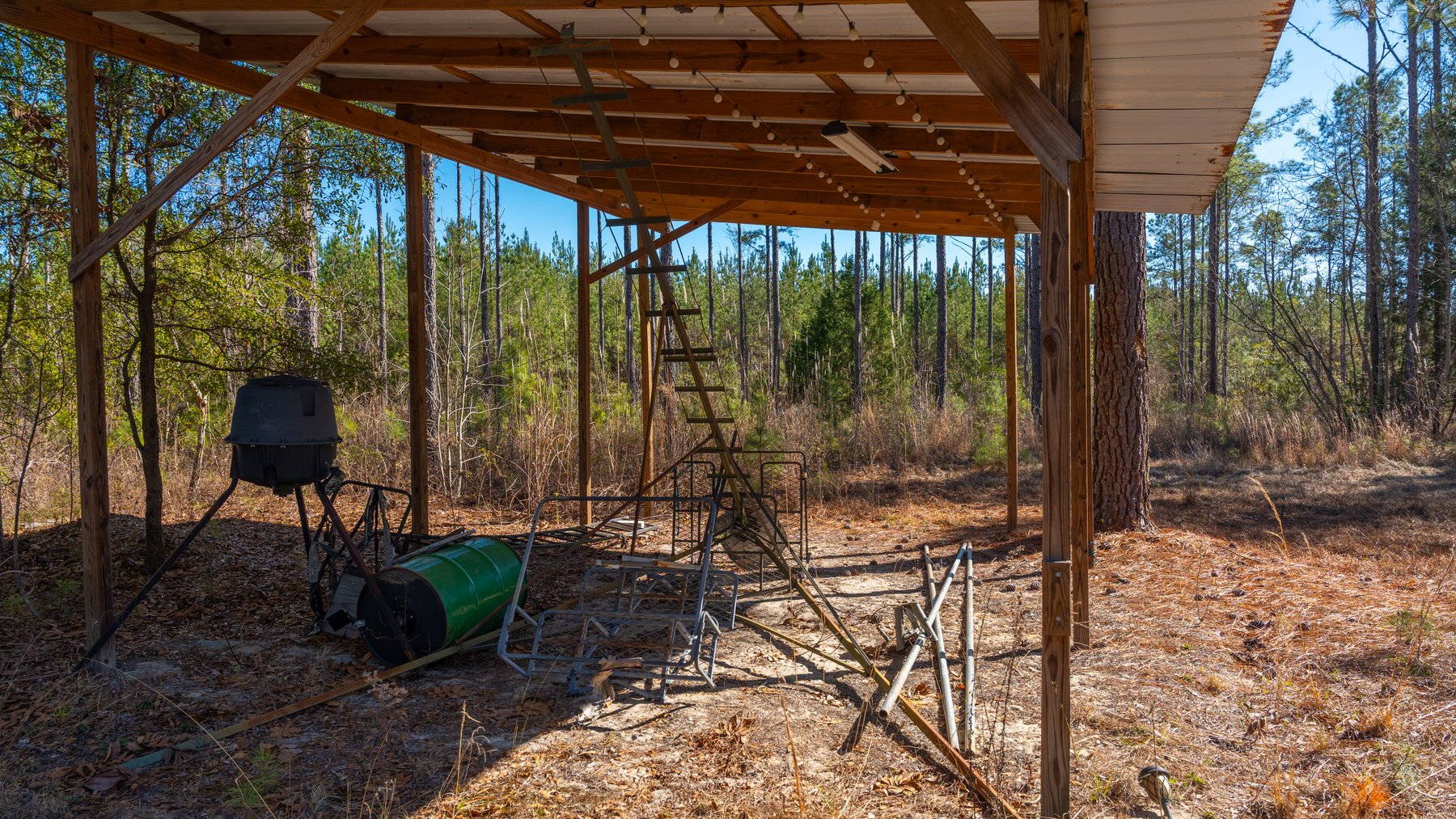 Image for 310± Total Acres - Simpson Tract - Planted Pines & Premium Hunting - Clear Creek Frontage