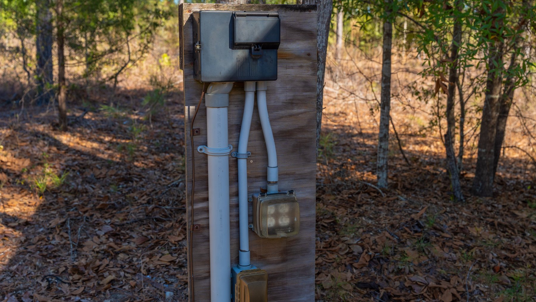 Image for 310± Total Acres - Simpson Tract - Planted Pines & Premium Hunting - Clear Creek Frontage