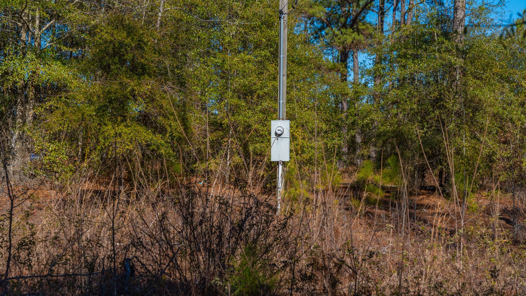 Image for 310± Total Acres - Simpson Tract - Planted Pines & Premium Hunting - Clear Creek Frontage