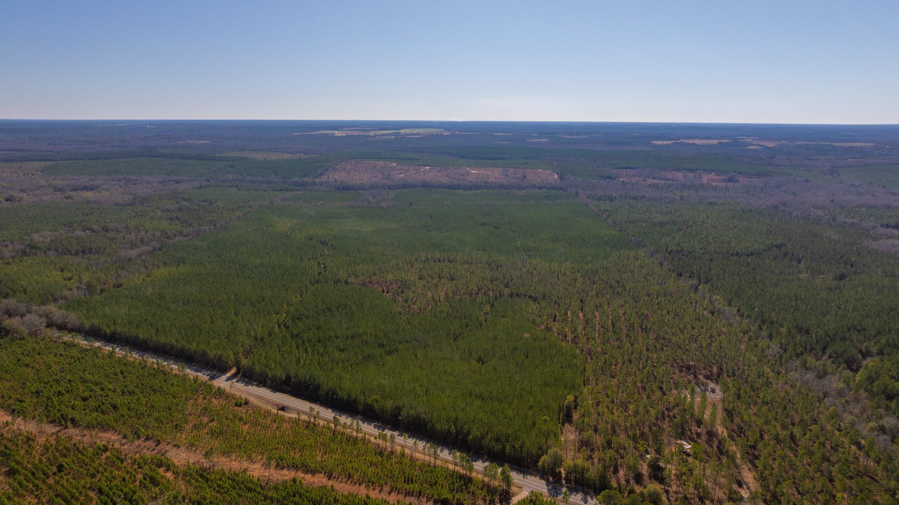 Image for 310± Total Acres - Simpson Tract - Planted Pines & Premium Hunting - Clear Creek Frontage
