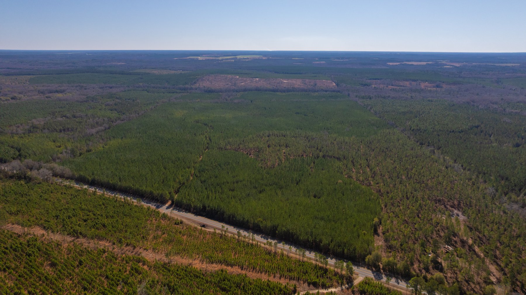 Image for 310± Total Acres - Simpson Tract - Planted Pines & Premium Hunting - Clear Creek Frontage