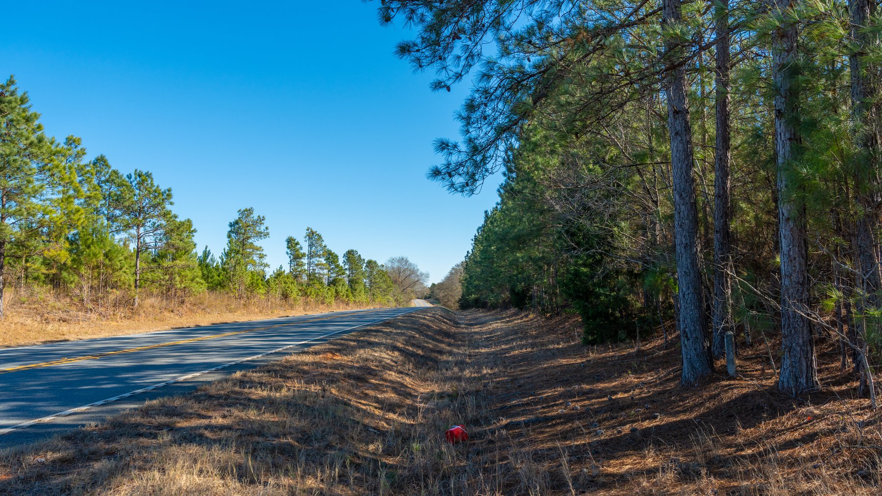 Image for 310± Total Acres - Simpson Tract - Planted Pines & Premium Hunting - Clear Creek Frontage