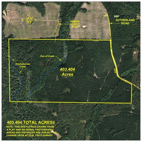 Image for 403± Total Acres - Minick Tract - Merchantable Planted Pine - Kinchafoonee Creek Frontage