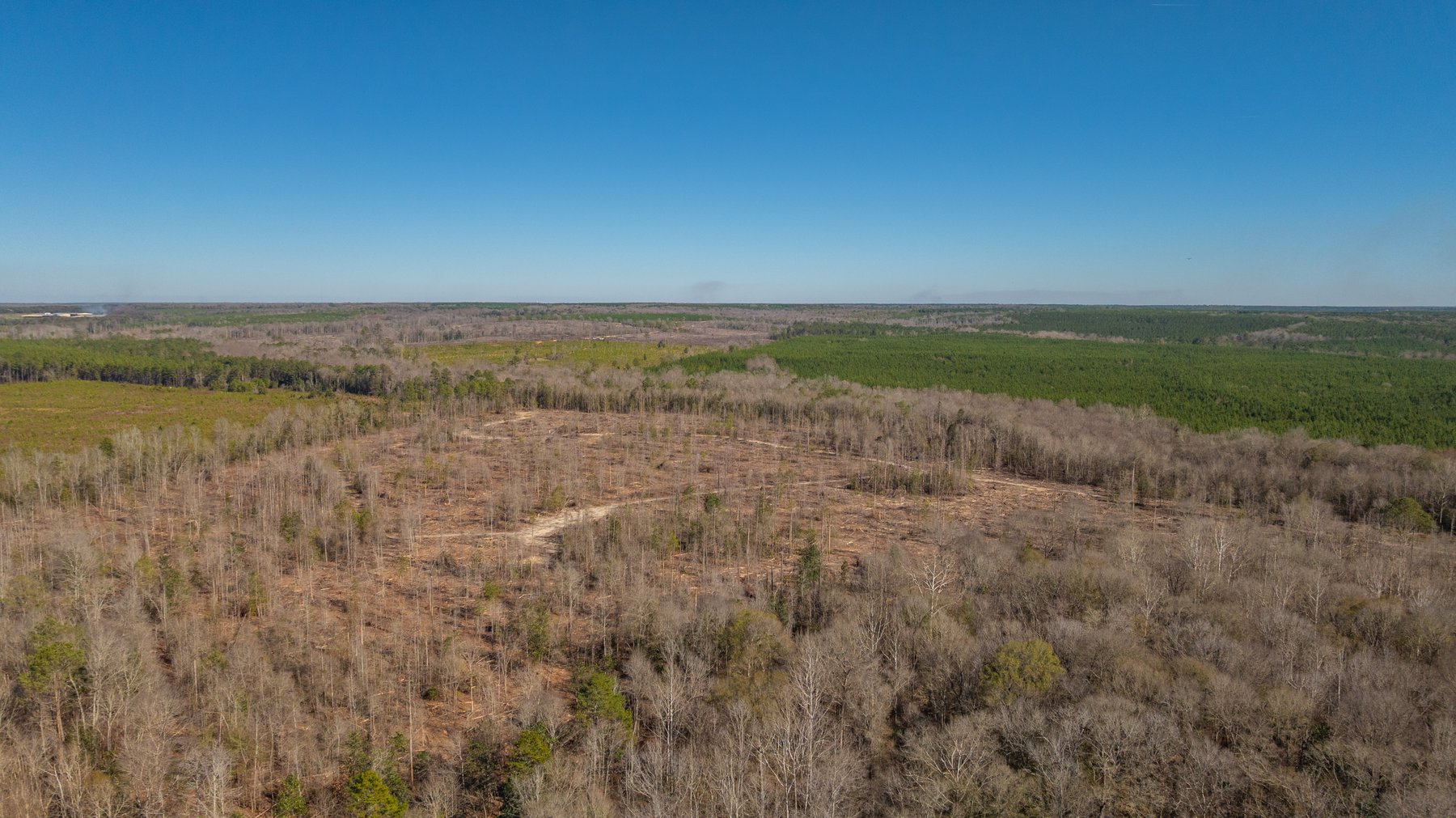 Image for 403± Total Acres - Minick Tract - Merchantable Planted Pine - Kinchafoonee Creek Frontage