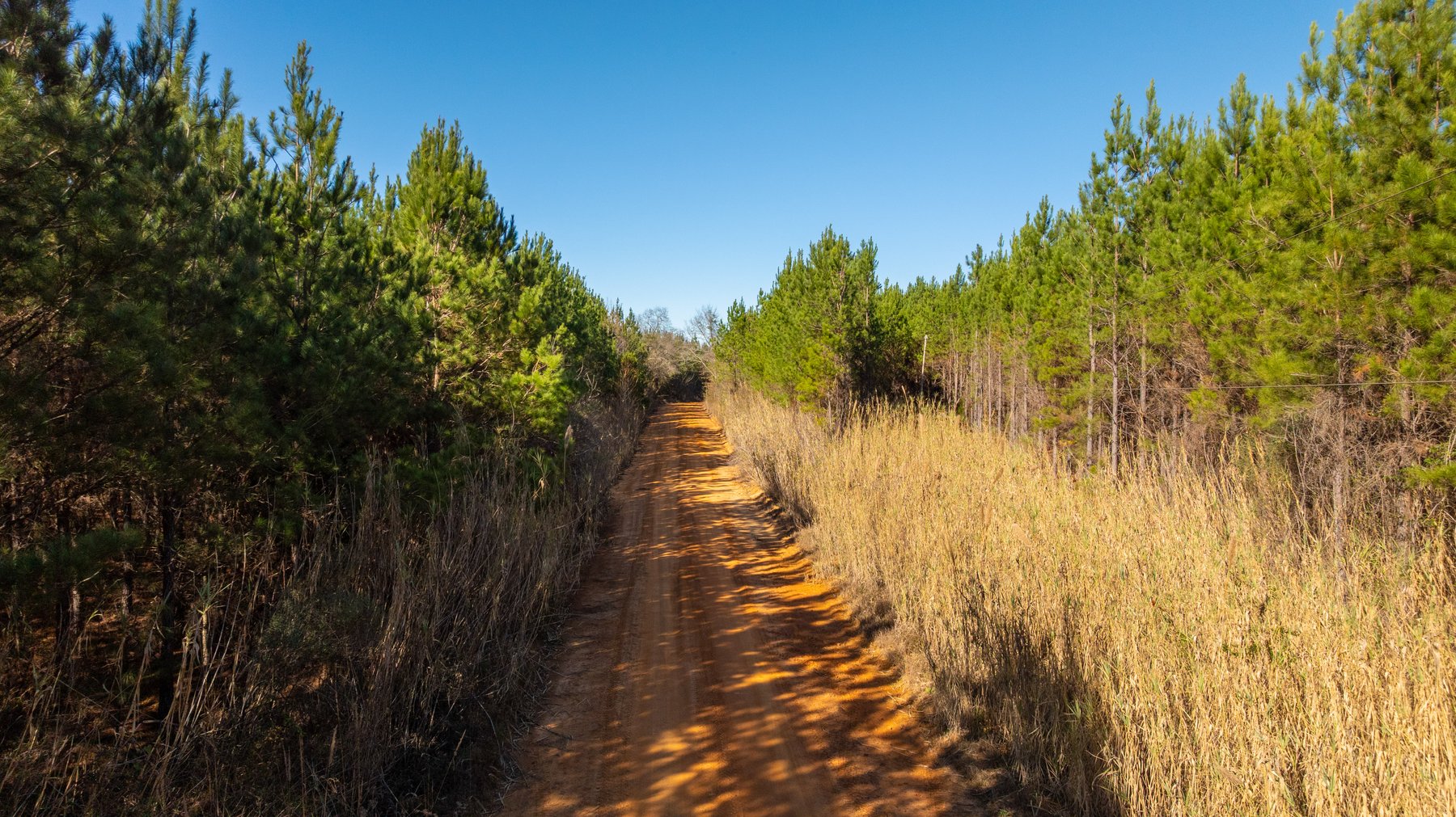 Image for 403± Total Acres - Minick Tract - Merchantable Planted Pine - Kinchafoonee Creek Frontage