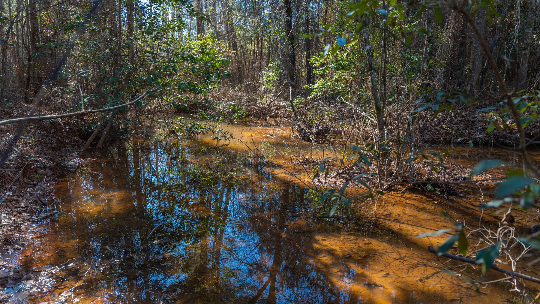 Image for 403± Total Acres - Minick Tract - Merchantable Planted Pine - Kinchafoonee Creek Frontage