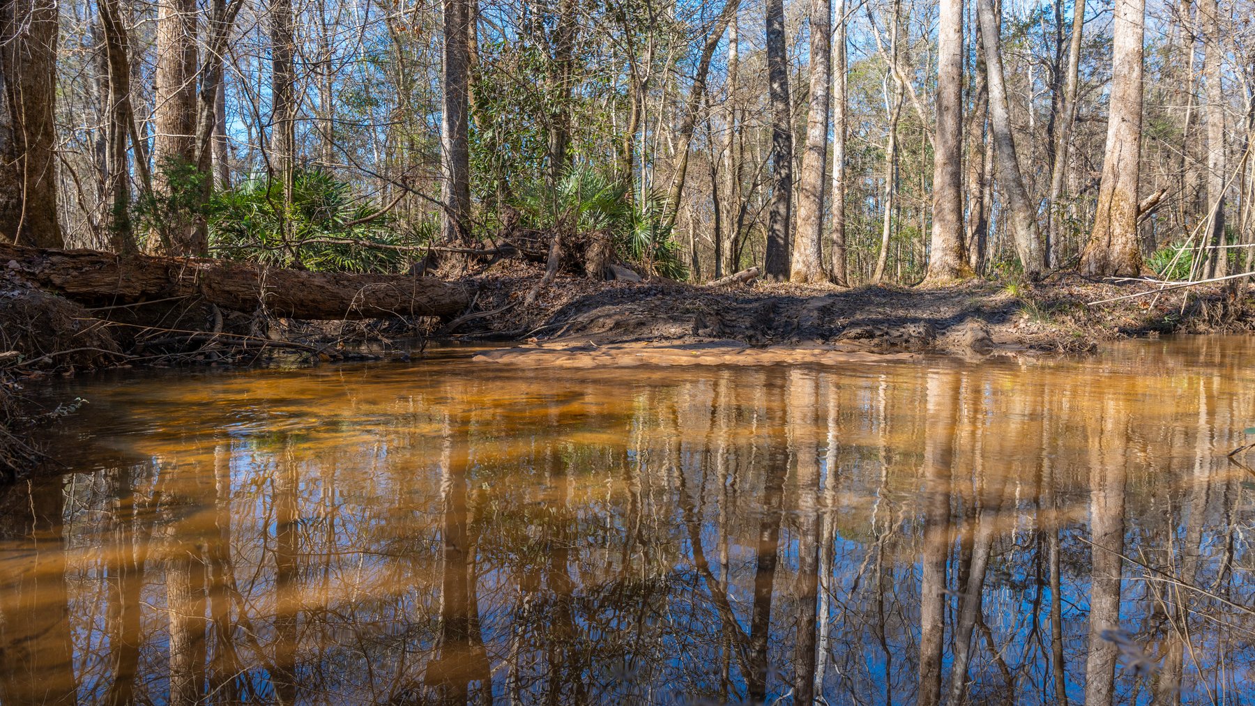 Image for 403± Total Acres - Minick Tract - Merchantable Planted Pine - Kinchafoonee Creek Frontage