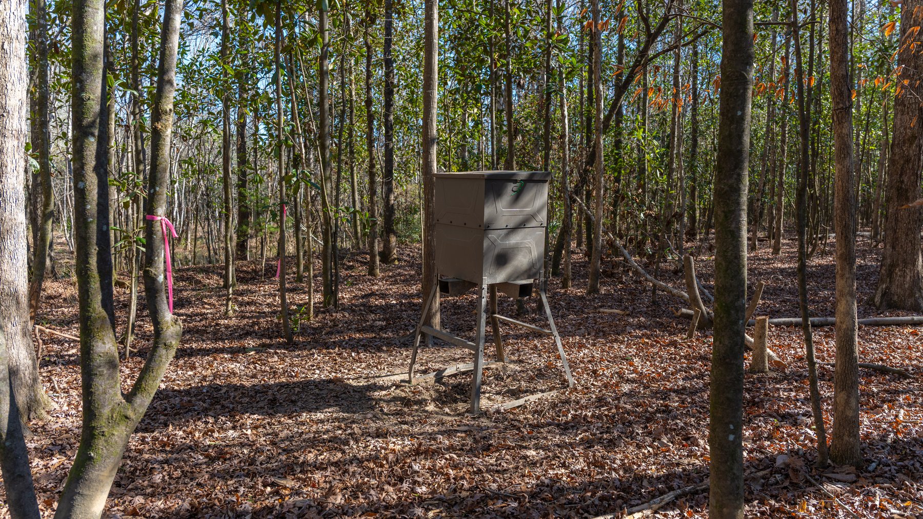 Image for 403± Total Acres - Minick Tract - Merchantable Planted Pine - Kinchafoonee Creek Frontage