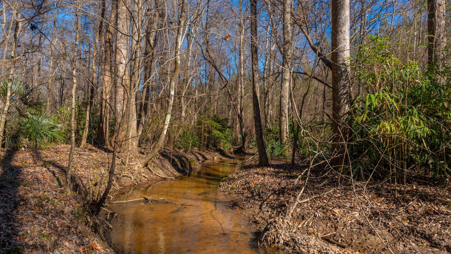 Image for 403± Total Acres - Minick Tract - Merchantable Planted Pine - Kinchafoonee Creek Frontage