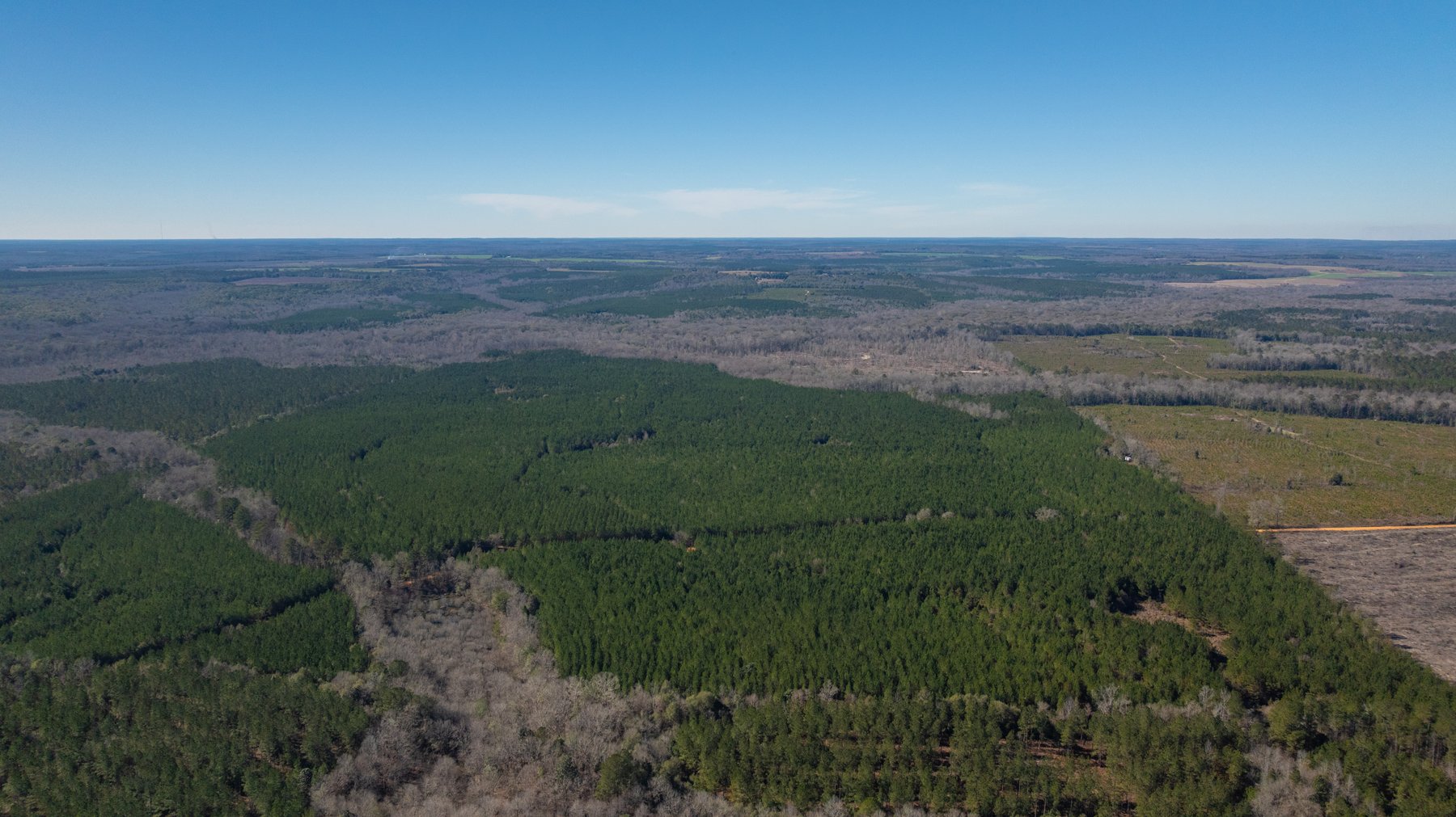Image for 403± Total Acres - Minick Tract - Merchantable Planted Pine - Kinchafoonee Creek Frontage