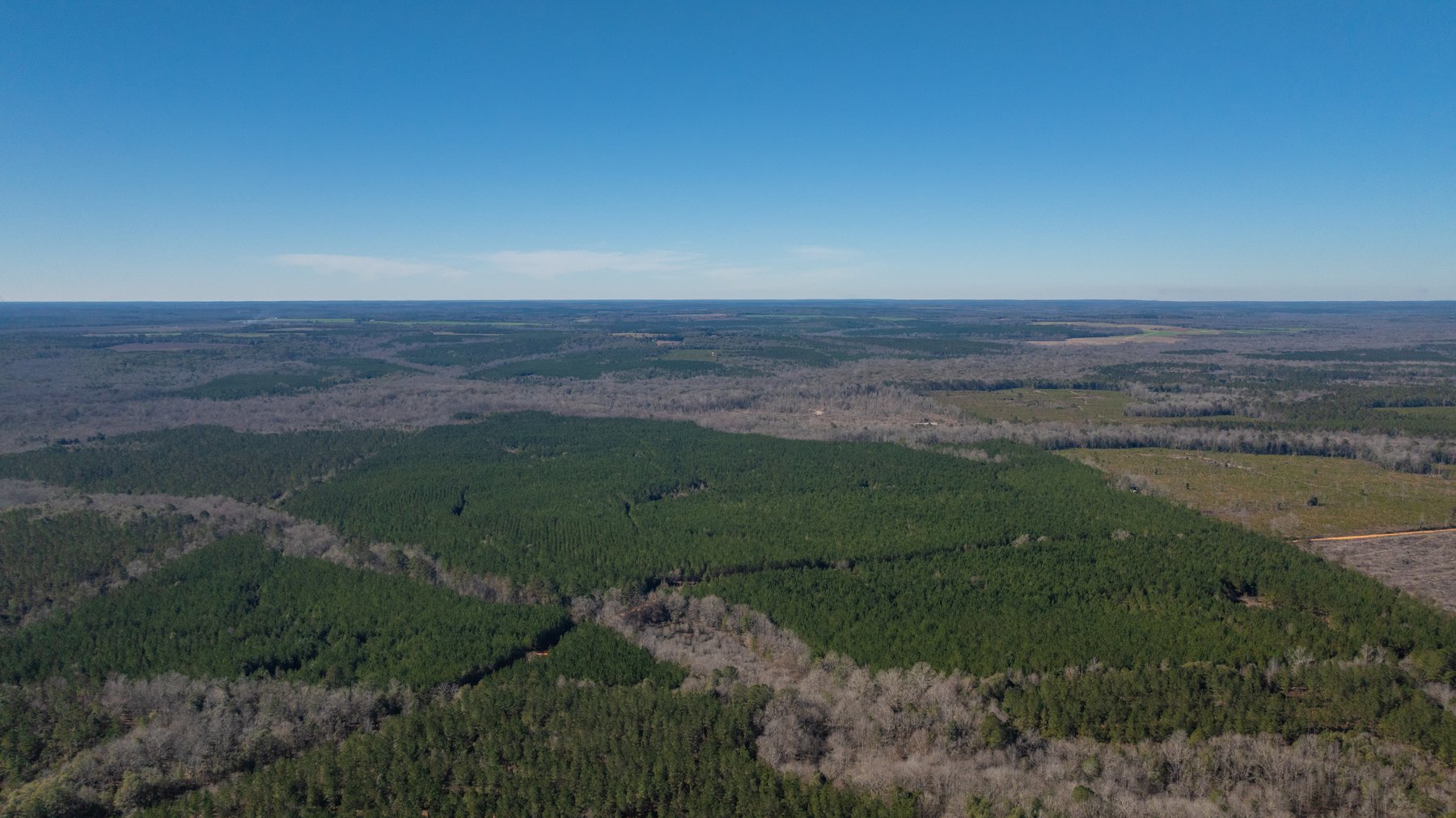 Image for 403± Total Acres - Minick Tract - Merchantable Planted Pine - Kinchafoonee Creek Frontage