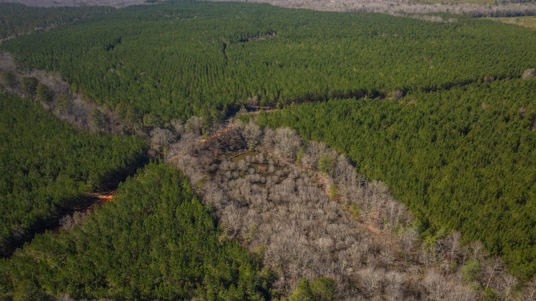 Image for 403± Total Acres - Minick Tract - Merchantable Planted Pine - Kinchafoonee Creek Frontage