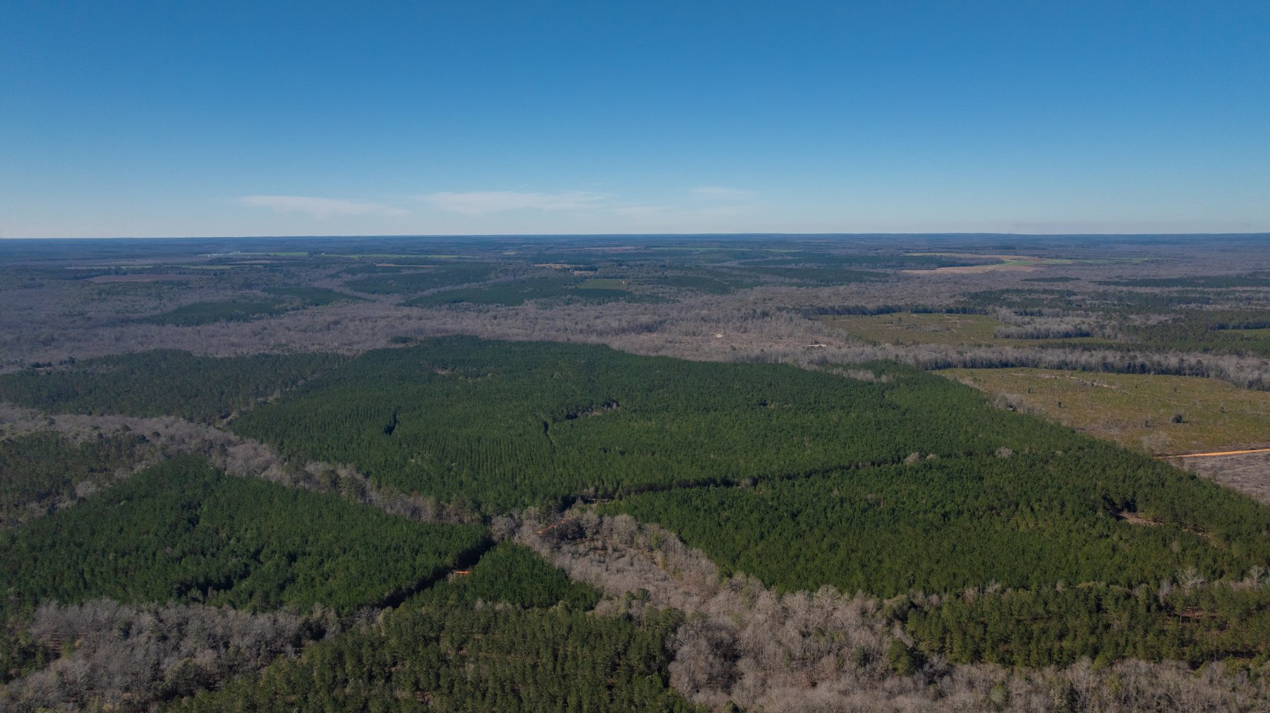 Image for 403± Total Acres - Minick Tract - Merchantable Planted Pine - Kinchafoonee Creek Frontage