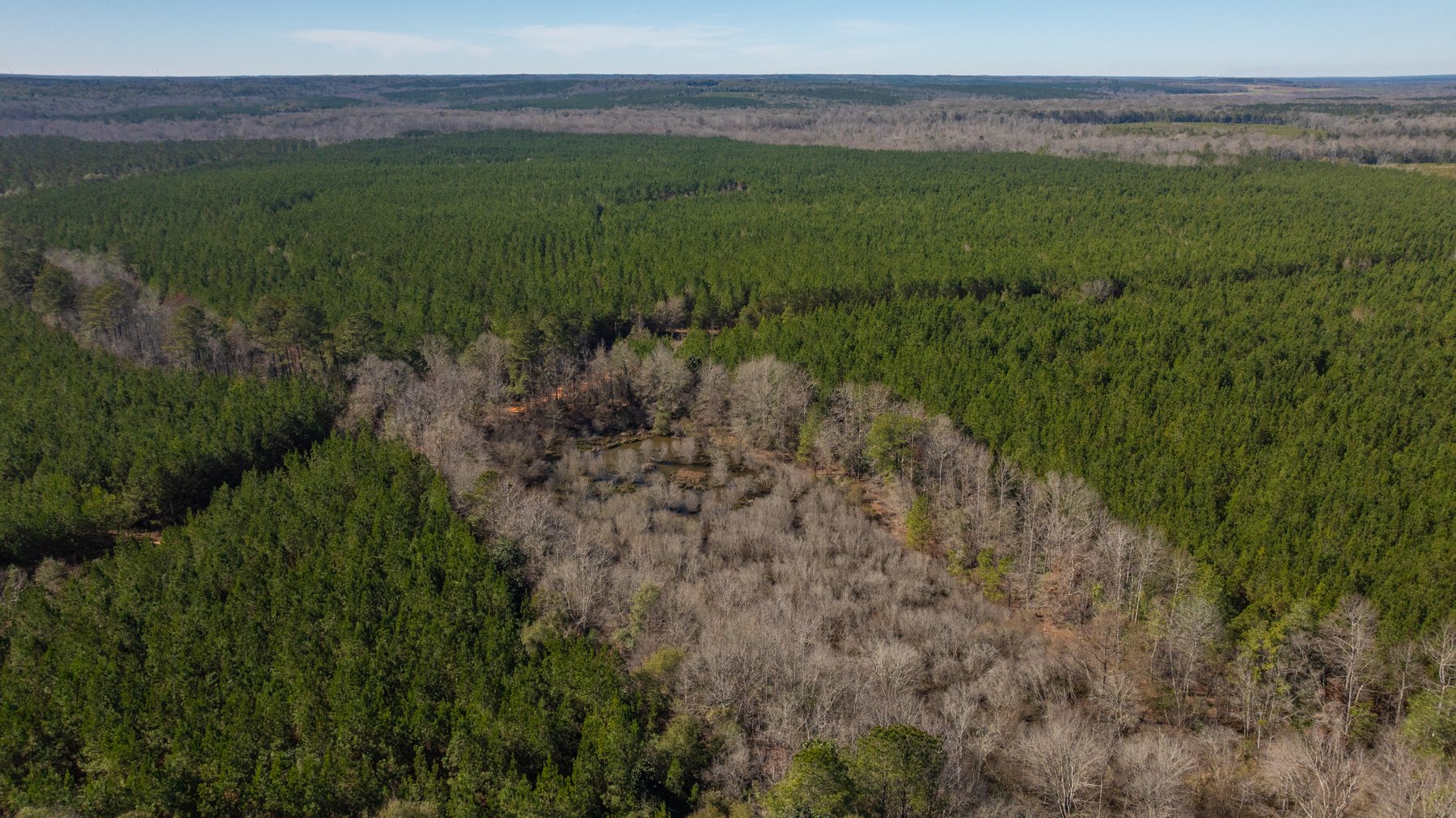 Image for 403± Total Acres - Minick Tract - Merchantable Planted Pine - Kinchafoonee Creek Frontage