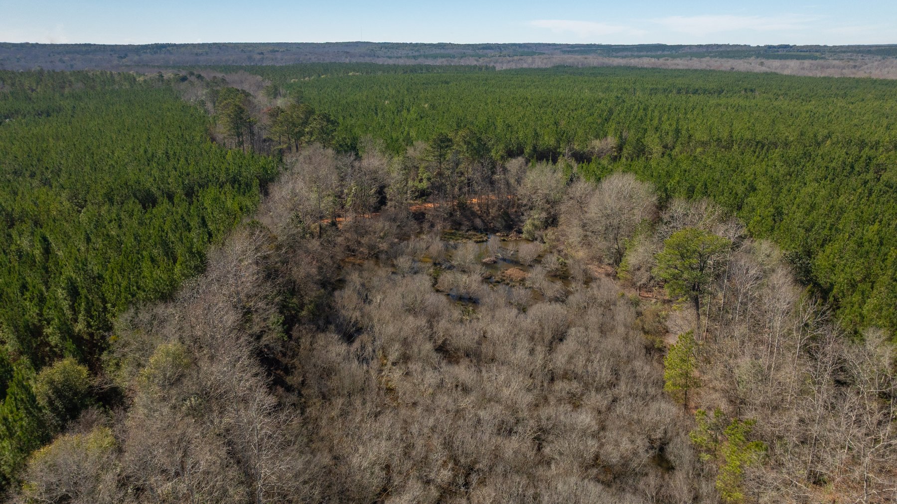 Image for 403± Total Acres - Minick Tract - Merchantable Planted Pine - Kinchafoonee Creek Frontage