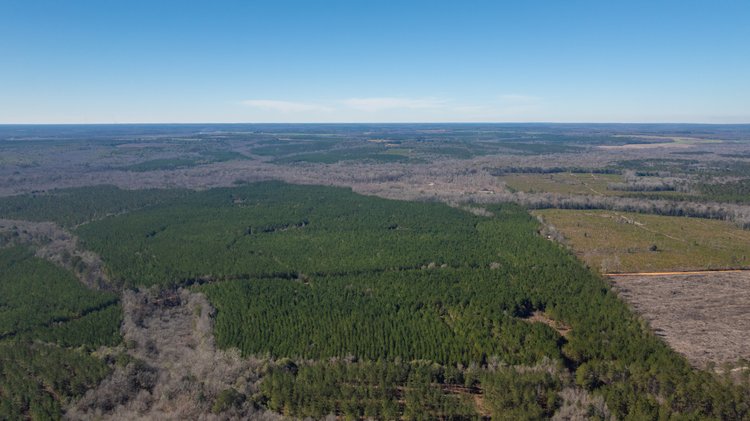 Image for 403± Total Acres - Minick Tract - Merchantable Planted Pine - Kinchafoonee Creek Frontage