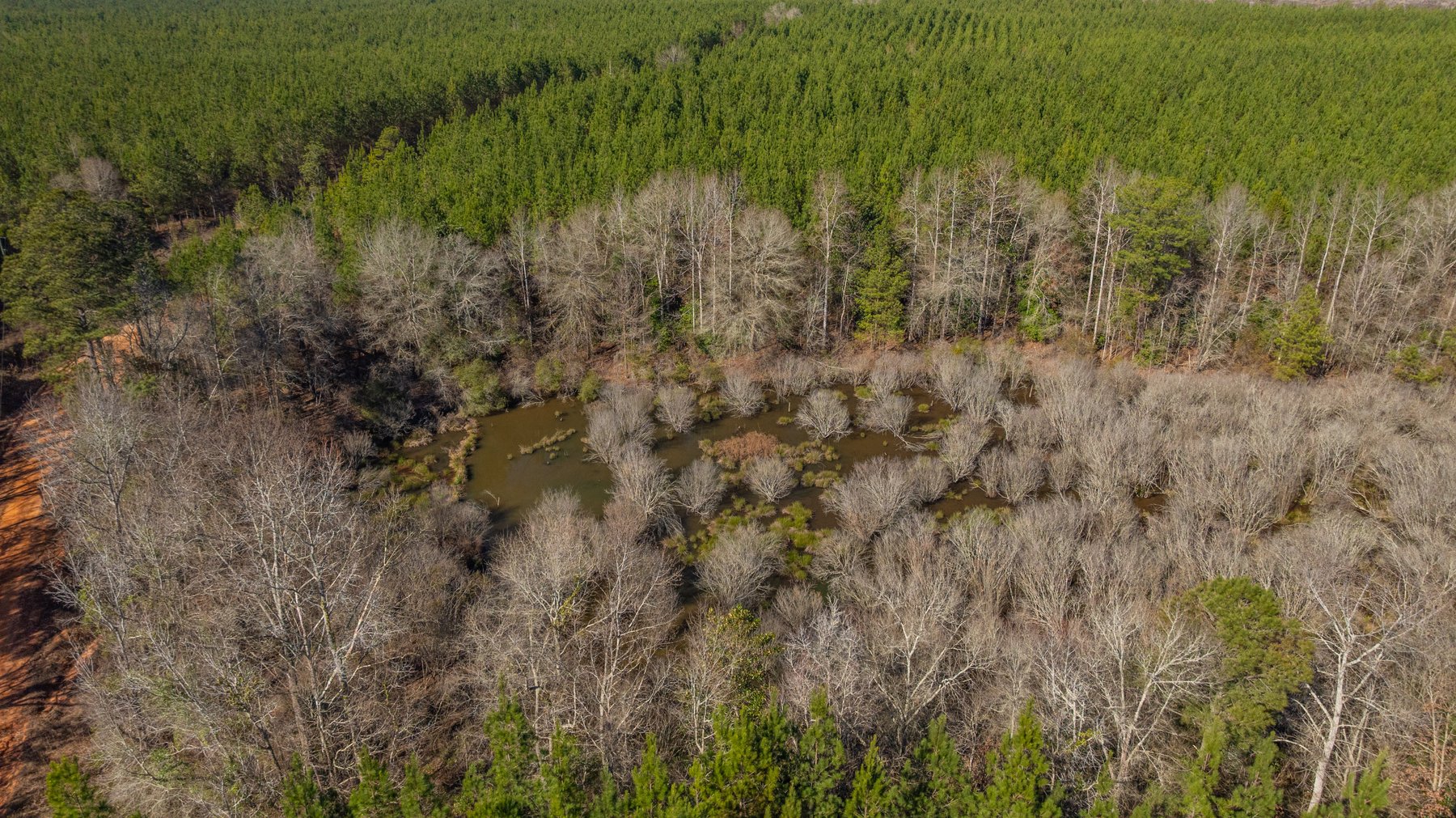 Image for 403± Total Acres - Minick Tract - Merchantable Planted Pine - Kinchafoonee Creek Frontage