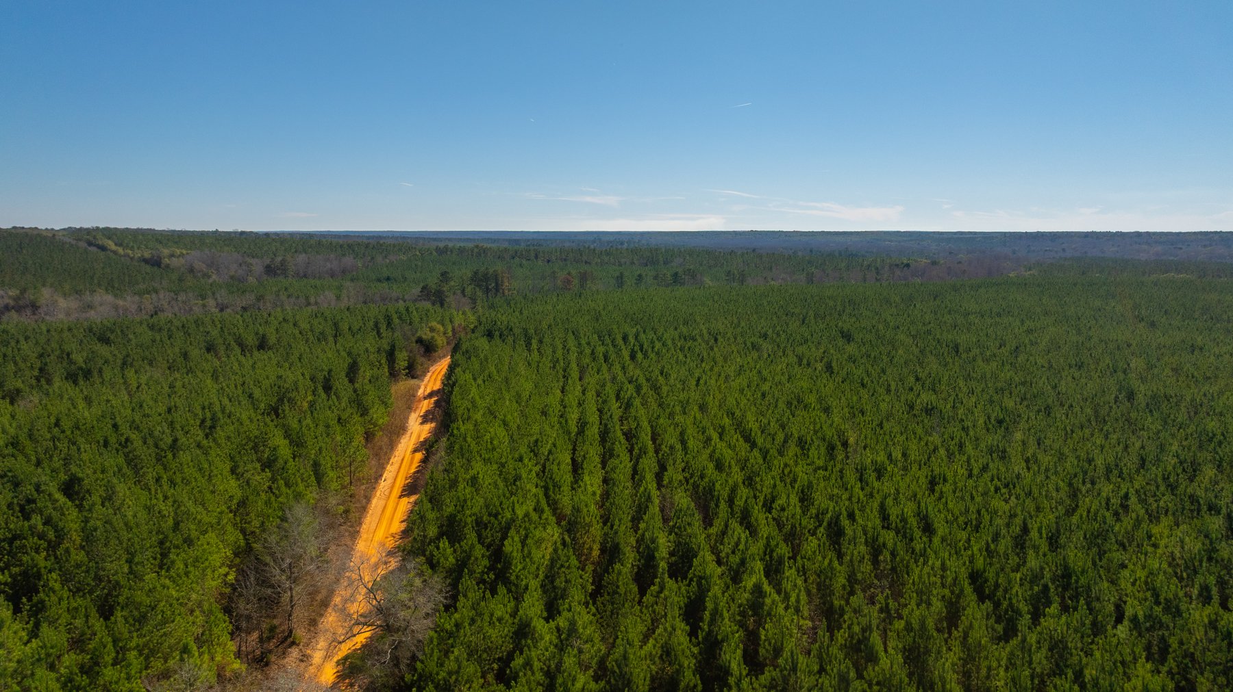 Image for 403± Total Acres - Minick Tract - Merchantable Planted Pine - Kinchafoonee Creek Frontage