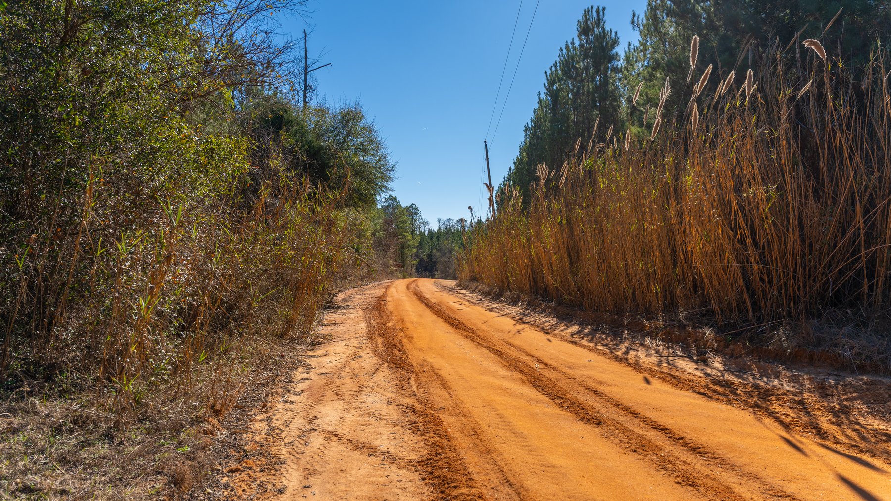 Image for 403± Total Acres - Minick Tract - Merchantable Planted Pine - Kinchafoonee Creek Frontage