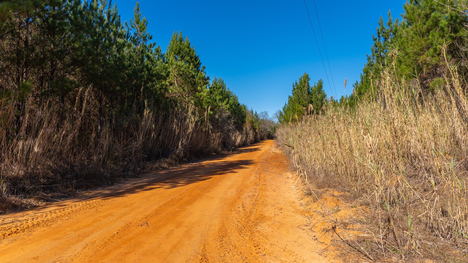 Image for 403± Total Acres - Minick Tract - Merchantable Planted Pine - Kinchafoonee Creek Frontage
