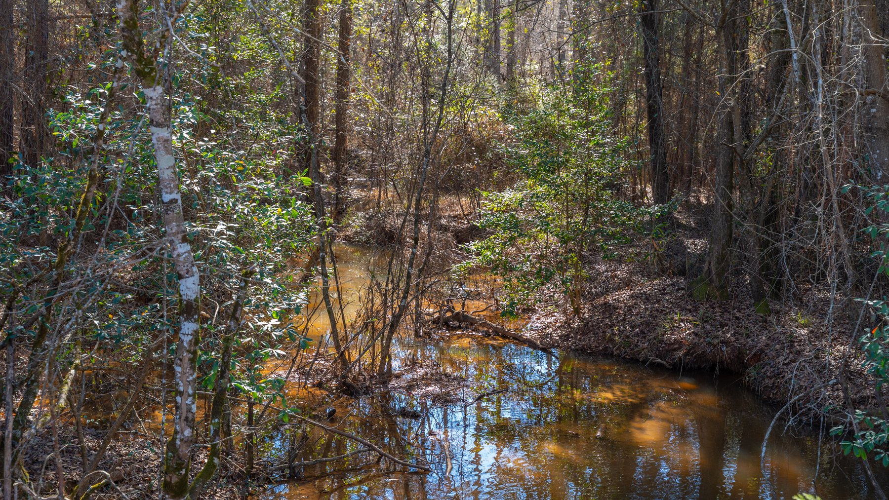 Image for 403± Total Acres - Minick Tract - Merchantable Planted Pine - Kinchafoonee Creek Frontage