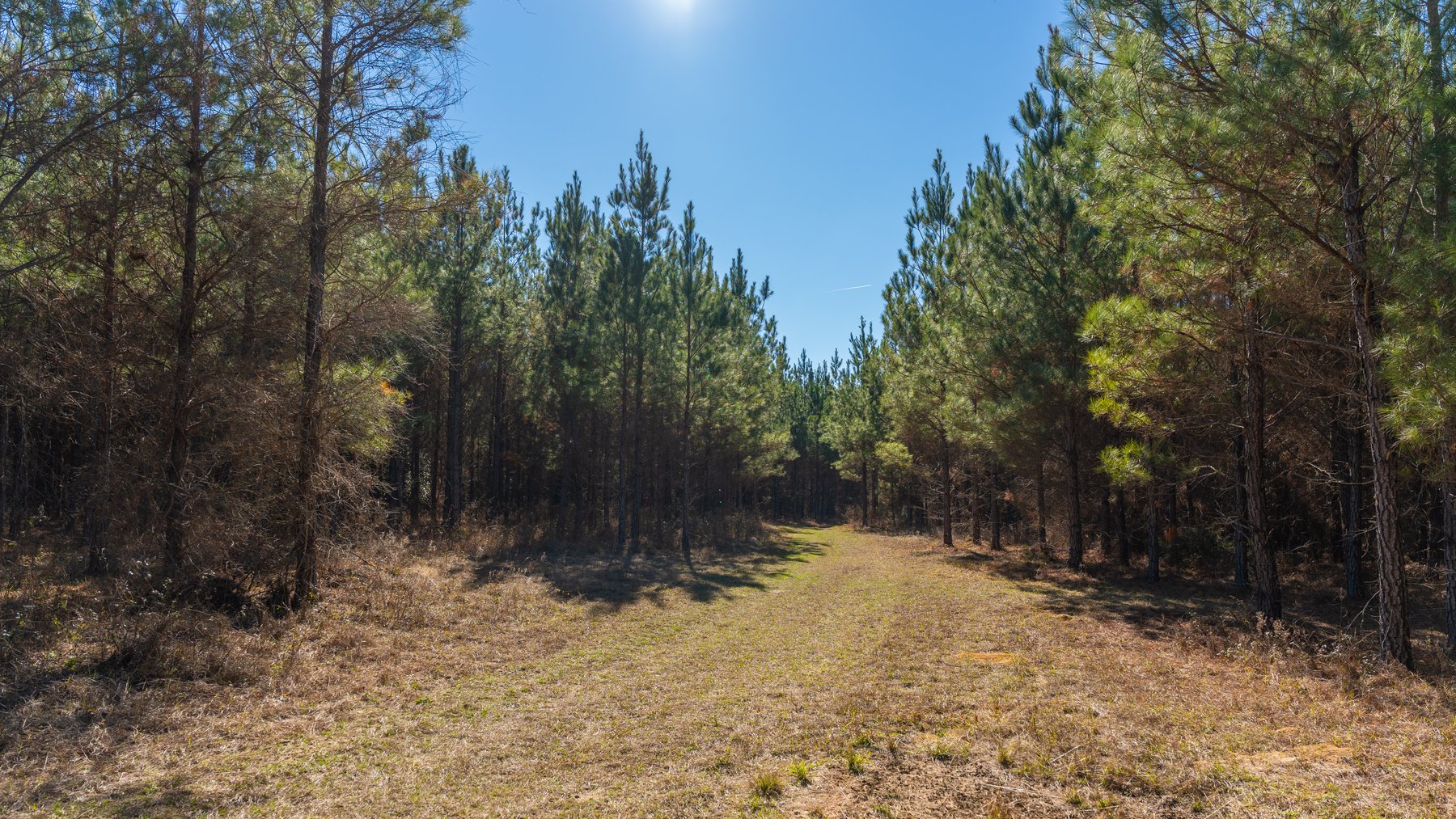 Image for 403± Total Acres - Minick Tract - Merchantable Planted Pine - Kinchafoonee Creek Frontage