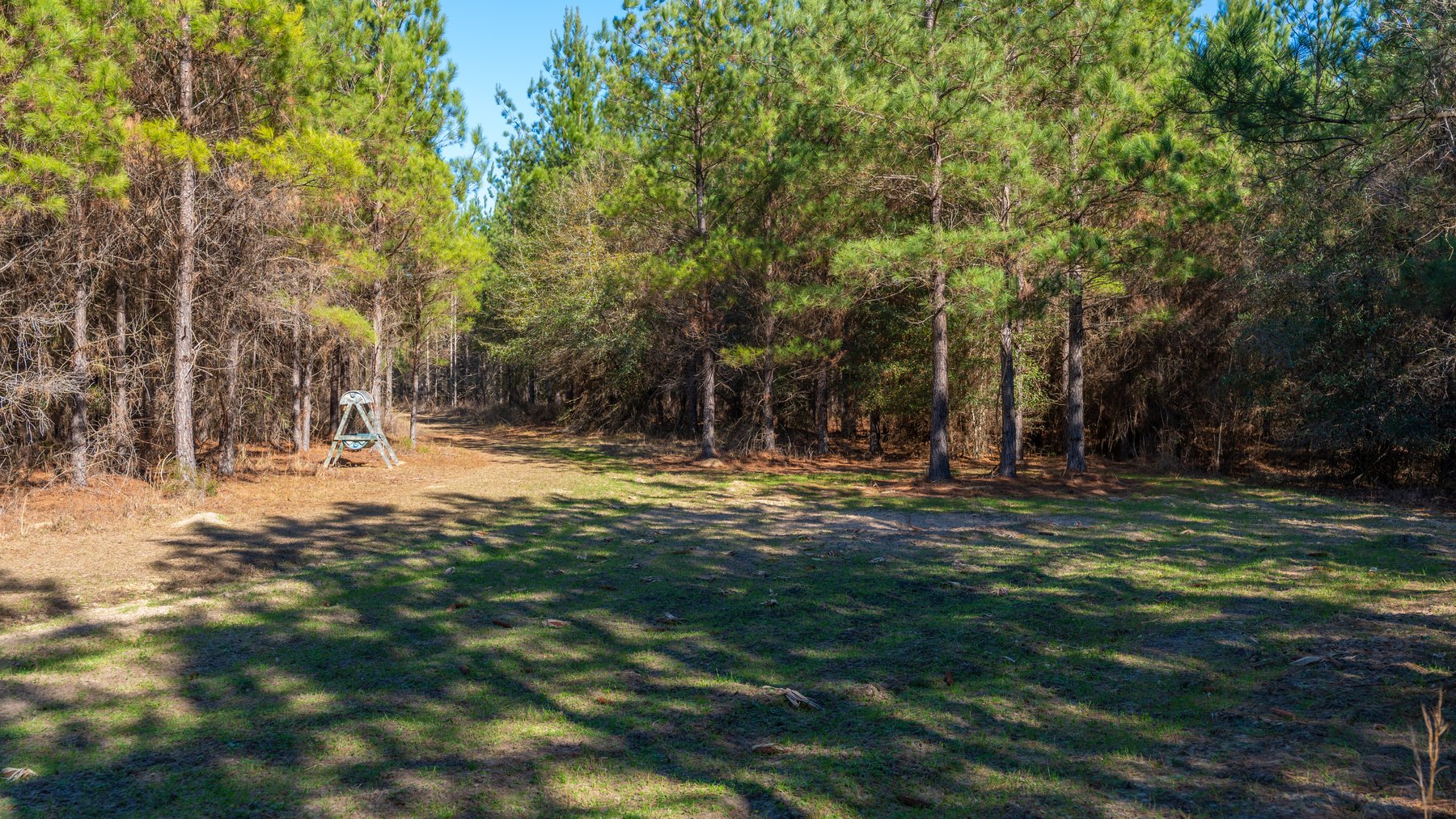 Image for 403± Total Acres - Minick Tract - Merchantable Planted Pine - Kinchafoonee Creek Frontage