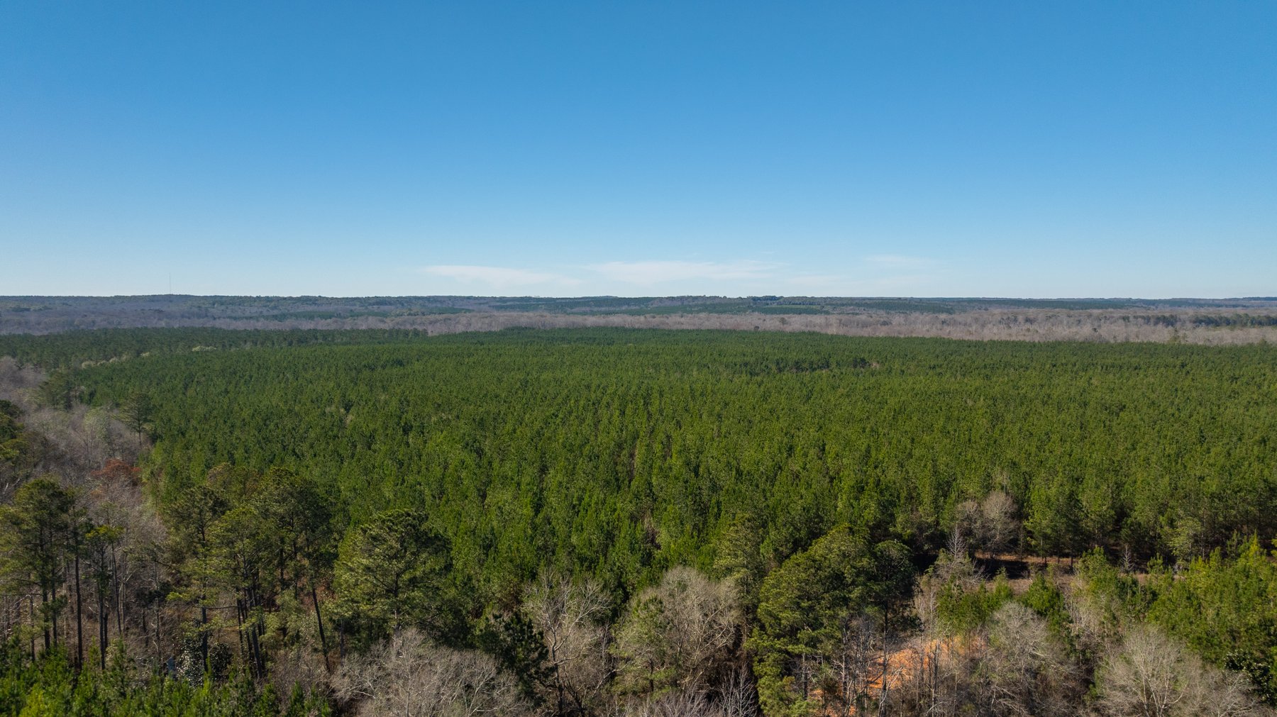 Image for 403± Total Acres - Minick Tract - Merchantable Planted Pine - Kinchafoonee Creek Frontage