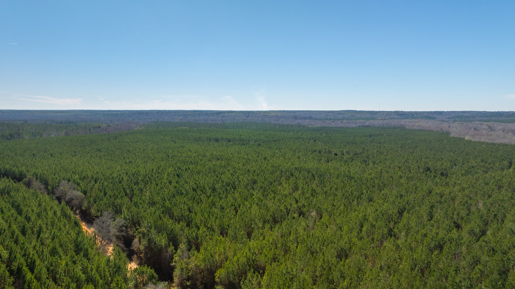 Image for 403± Total Acres - Minick Tract - Merchantable Planted Pine - Kinchafoonee Creek Frontage