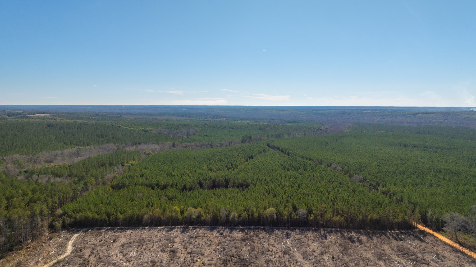 Image for 403± Total Acres - Minick Tract - Merchantable Planted Pine - Kinchafoonee Creek Frontage