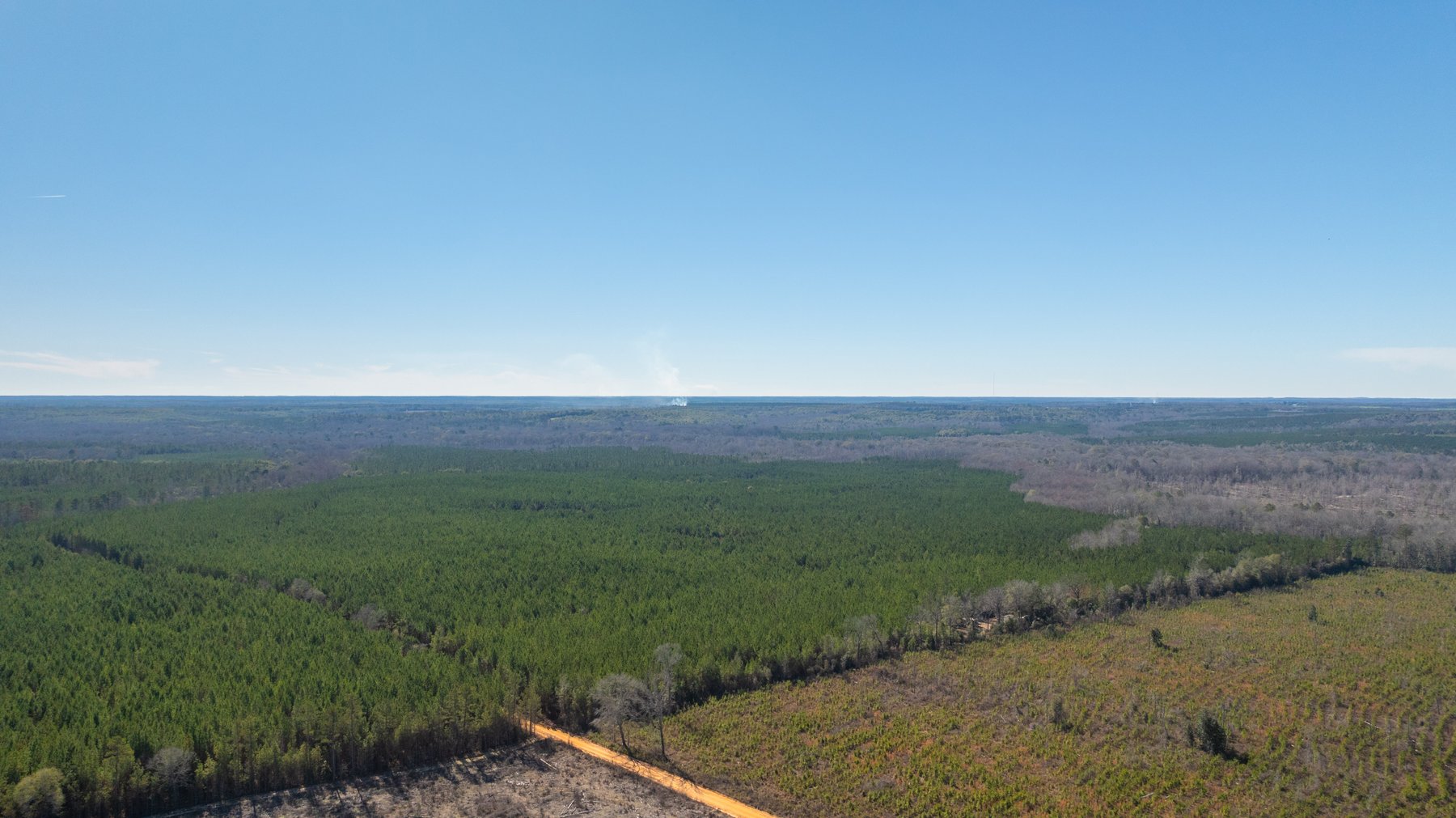 Image for 403± Total Acres - Minick Tract - Merchantable Planted Pine - Kinchafoonee Creek Frontage