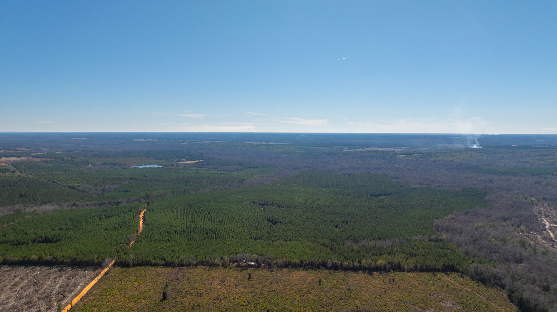 Image for 403± Total Acres - Minick Tract - Merchantable Planted Pine - Kinchafoonee Creek Frontage