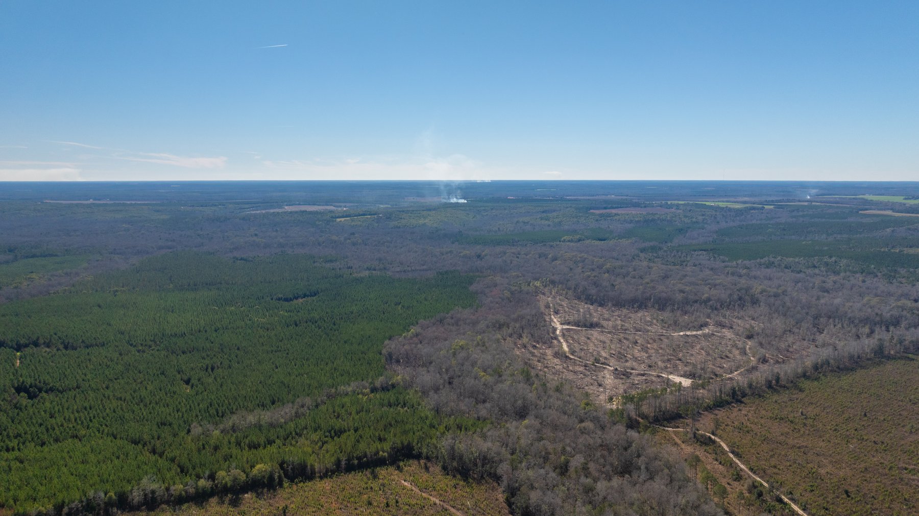 Image for 403± Total Acres - Minick Tract - Merchantable Planted Pine - Kinchafoonee Creek Frontage