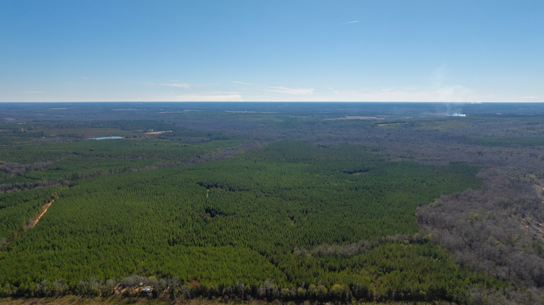 Image for 403± Total Acres - Minick Tract - Merchantable Planted Pine - Kinchafoonee Creek Frontage