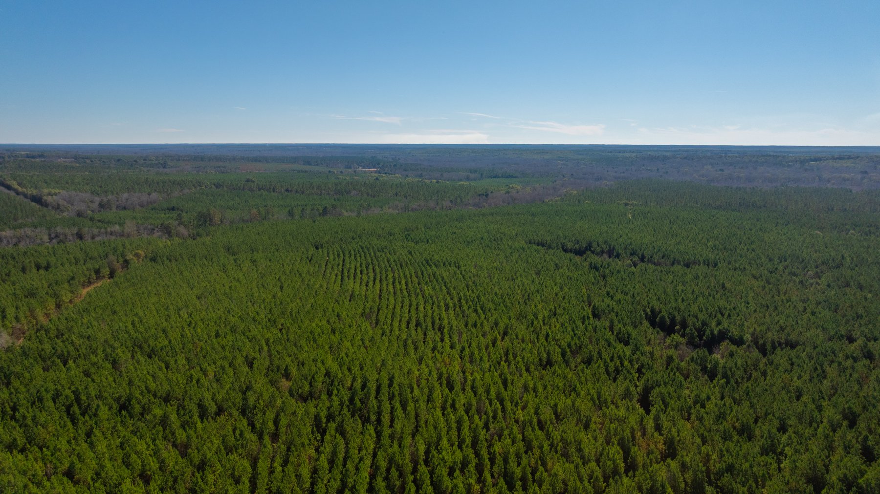 Image for 403± Total Acres - Minick Tract - Merchantable Planted Pine - Kinchafoonee Creek Frontage
