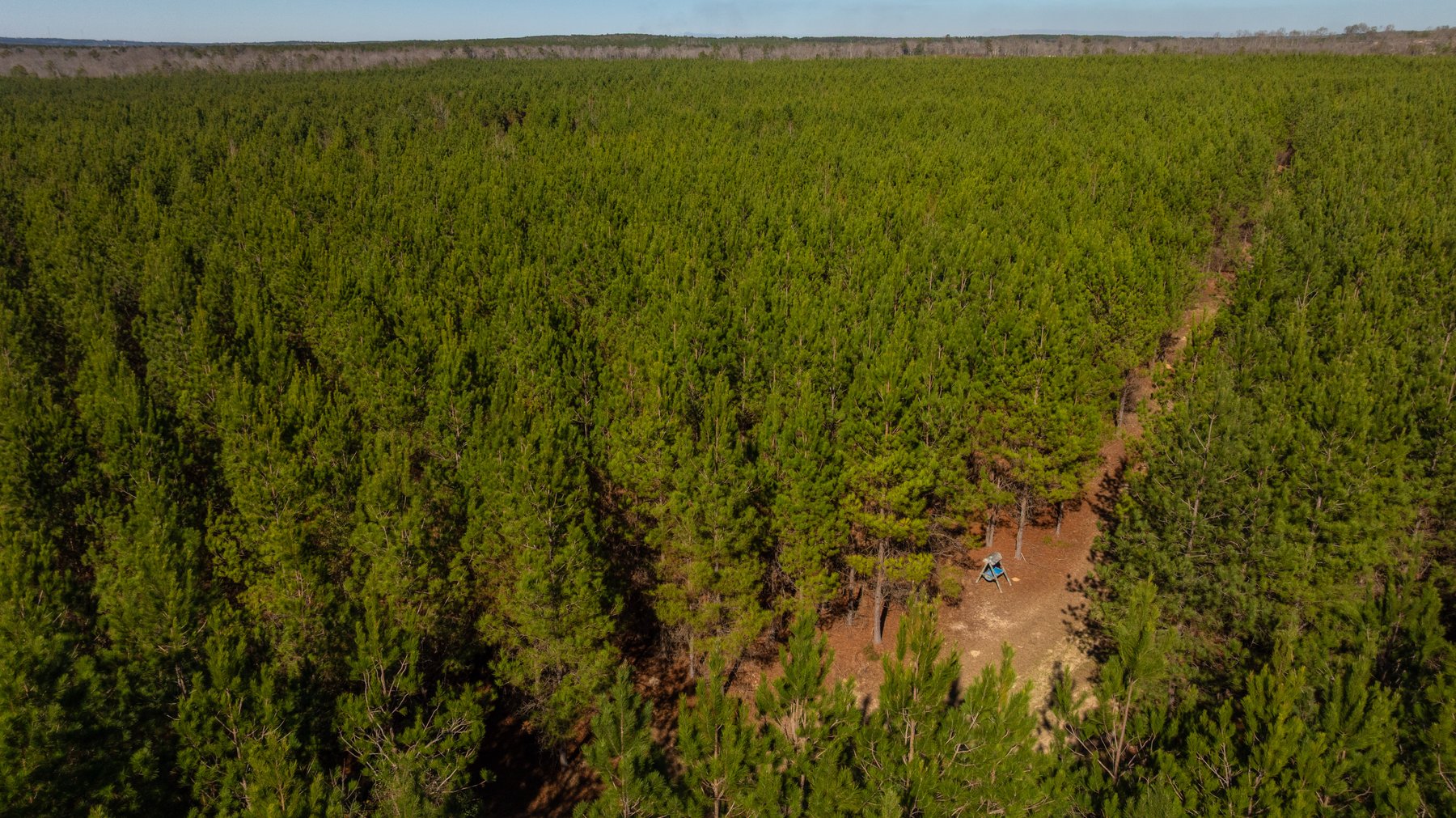 Image for 403± Total Acres - Minick Tract - Merchantable Planted Pine - Kinchafoonee Creek Frontage