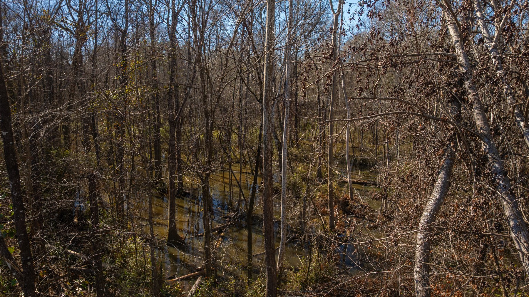 Image for 403± Total Acres - Minick Tract - Merchantable Planted Pine - Kinchafoonee Creek Frontage