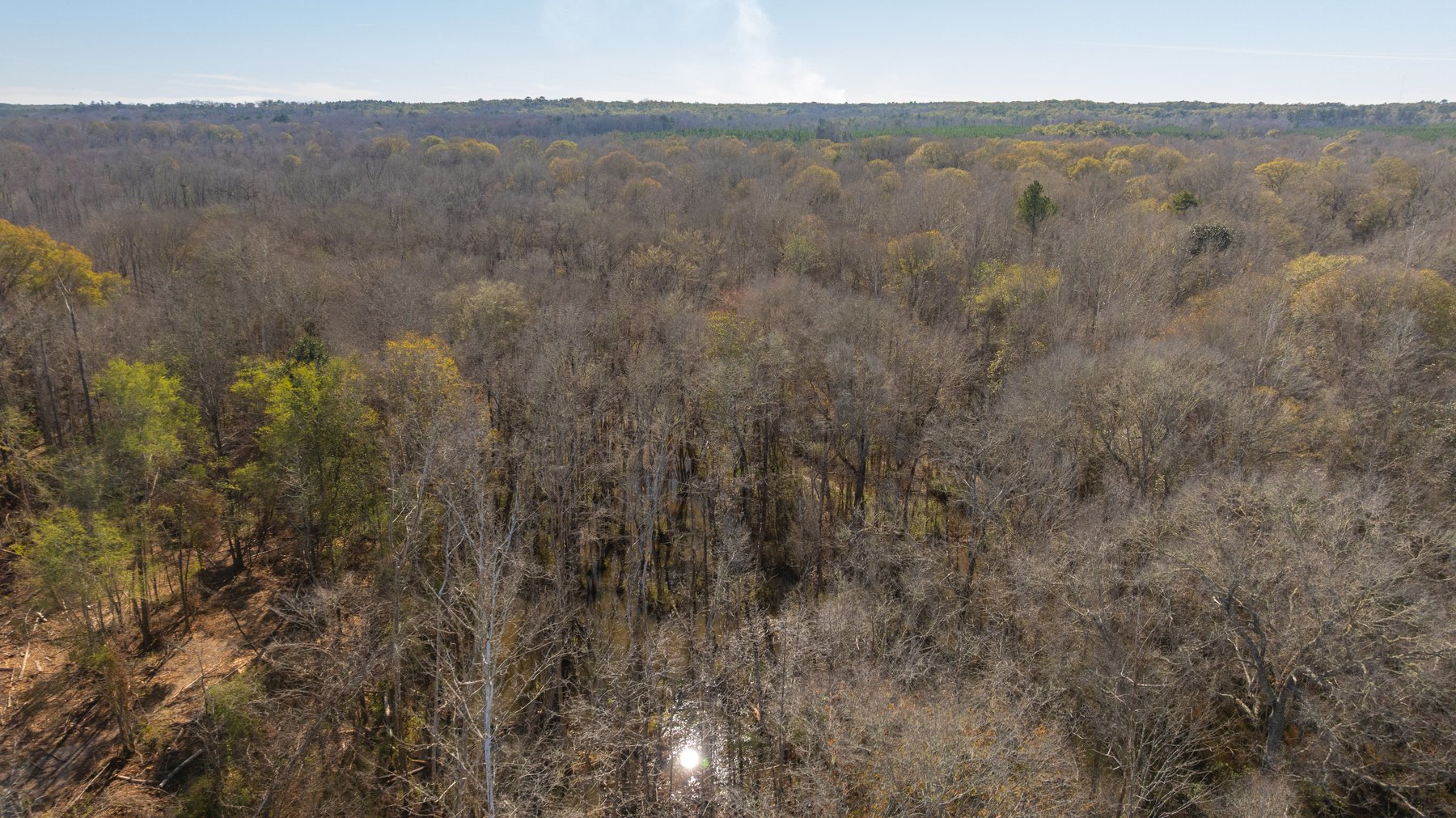 Image for 403± Total Acres - Minick Tract - Merchantable Planted Pine - Kinchafoonee Creek Frontage
