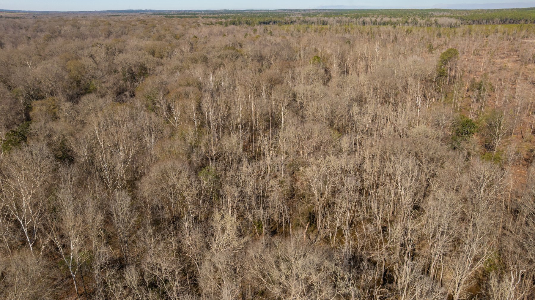 Image for 403± Total Acres - Minick Tract - Merchantable Planted Pine - Kinchafoonee Creek Frontage