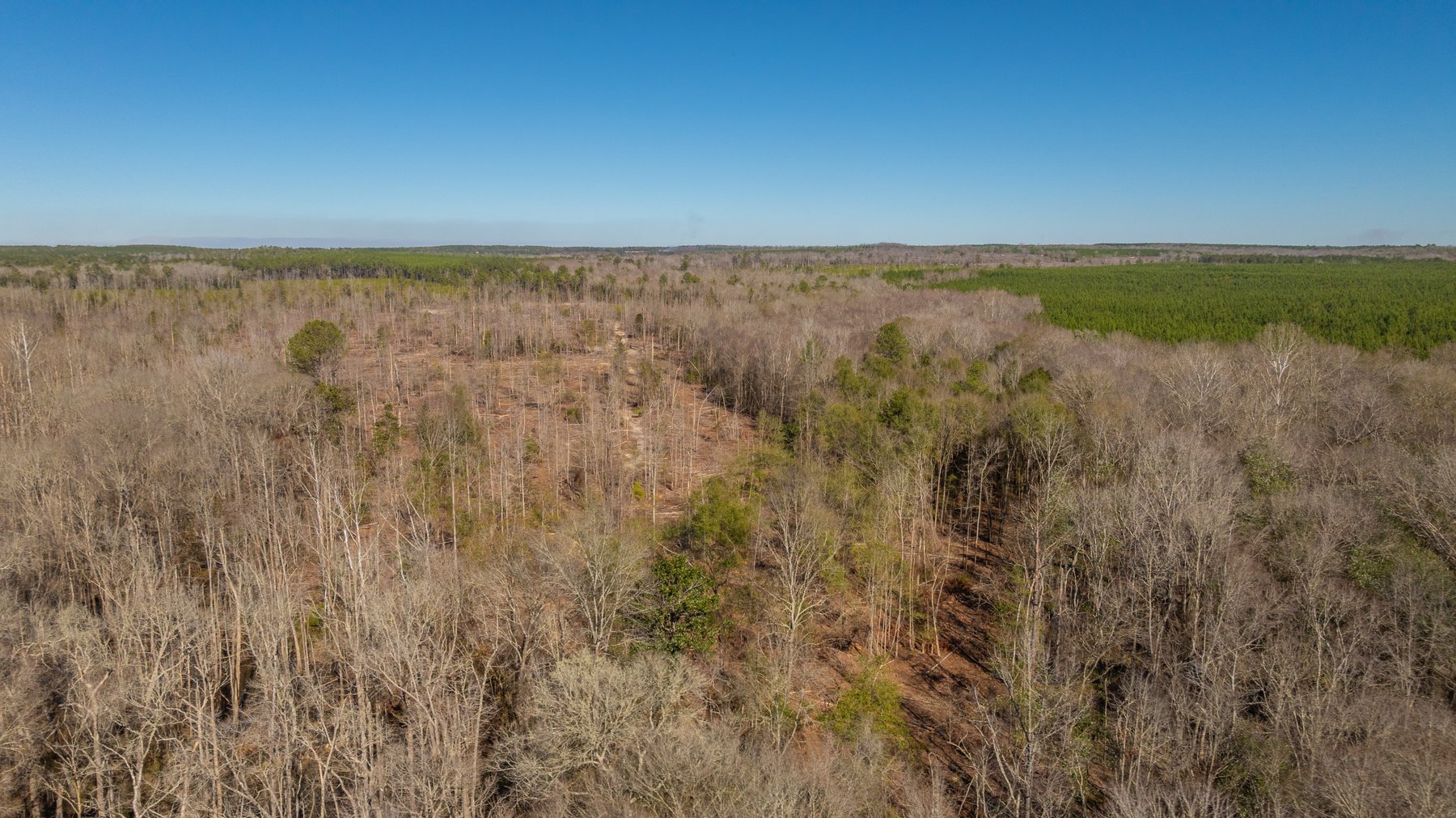 Image for 403± Total Acres - Minick Tract - Merchantable Planted Pine - Kinchafoonee Creek Frontage