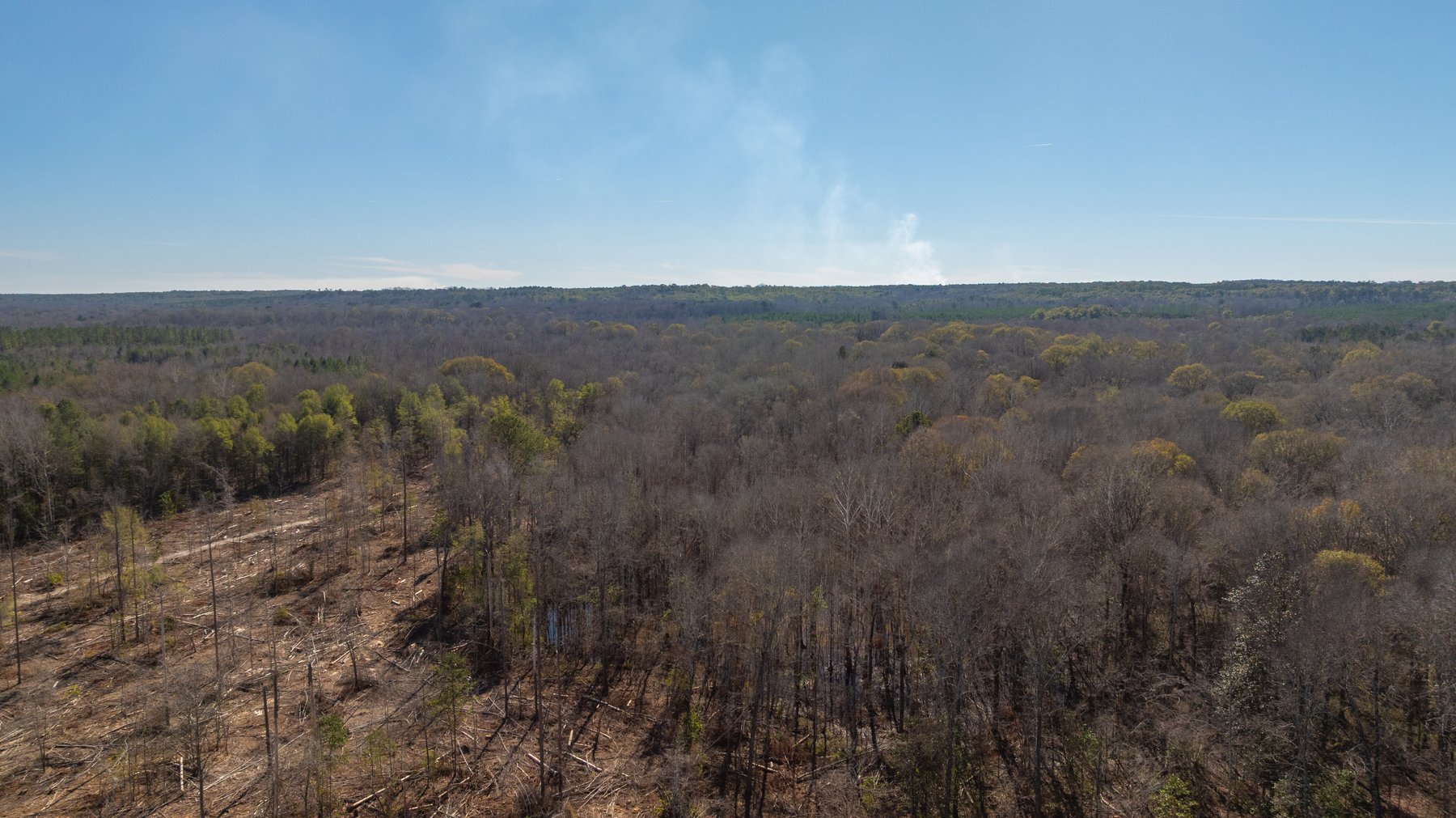 Image for 403± Total Acres - Minick Tract - Merchantable Planted Pine - Kinchafoonee Creek Frontage