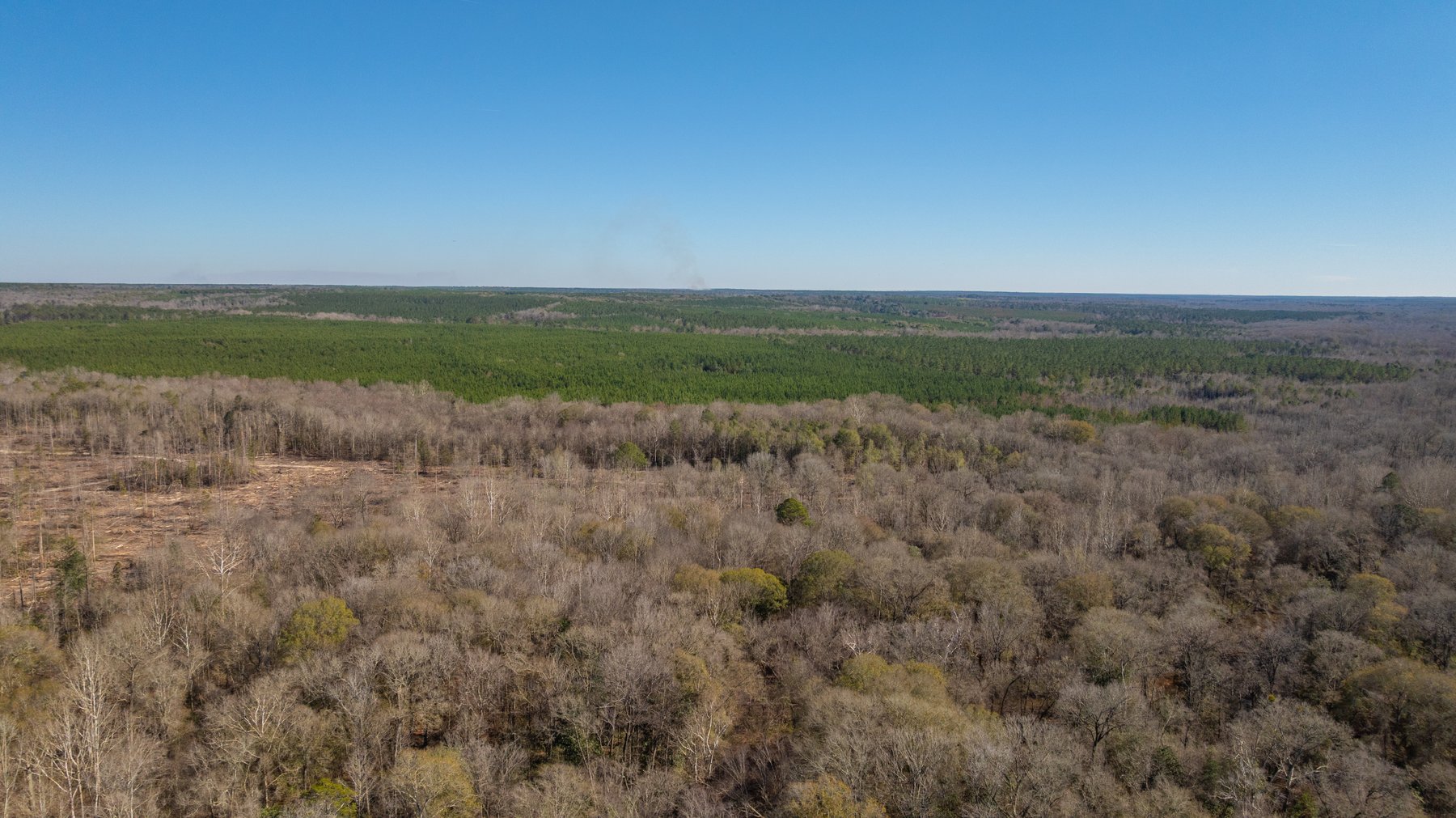 Image for 403± Total Acres - Minick Tract - Merchantable Planted Pine - Kinchafoonee Creek Frontage