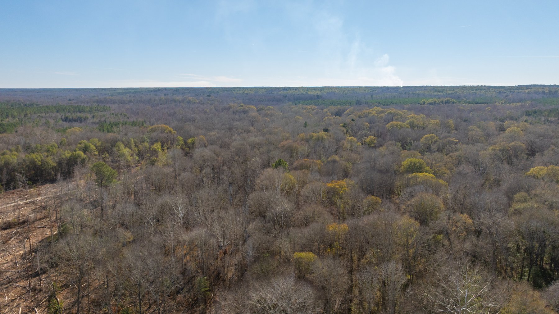 Image for 403± Total Acres - Minick Tract - Merchantable Planted Pine - Kinchafoonee Creek Frontage