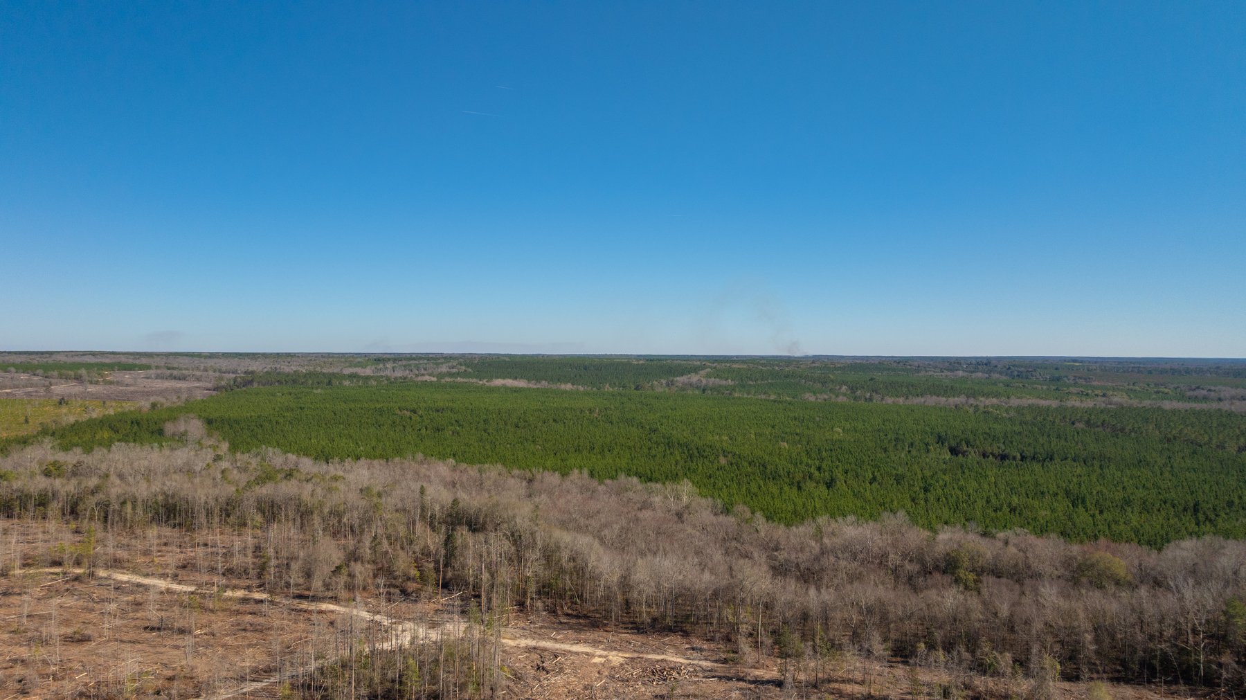 Image for 403± Total Acres - Minick Tract - Merchantable Planted Pine - Kinchafoonee Creek Frontage