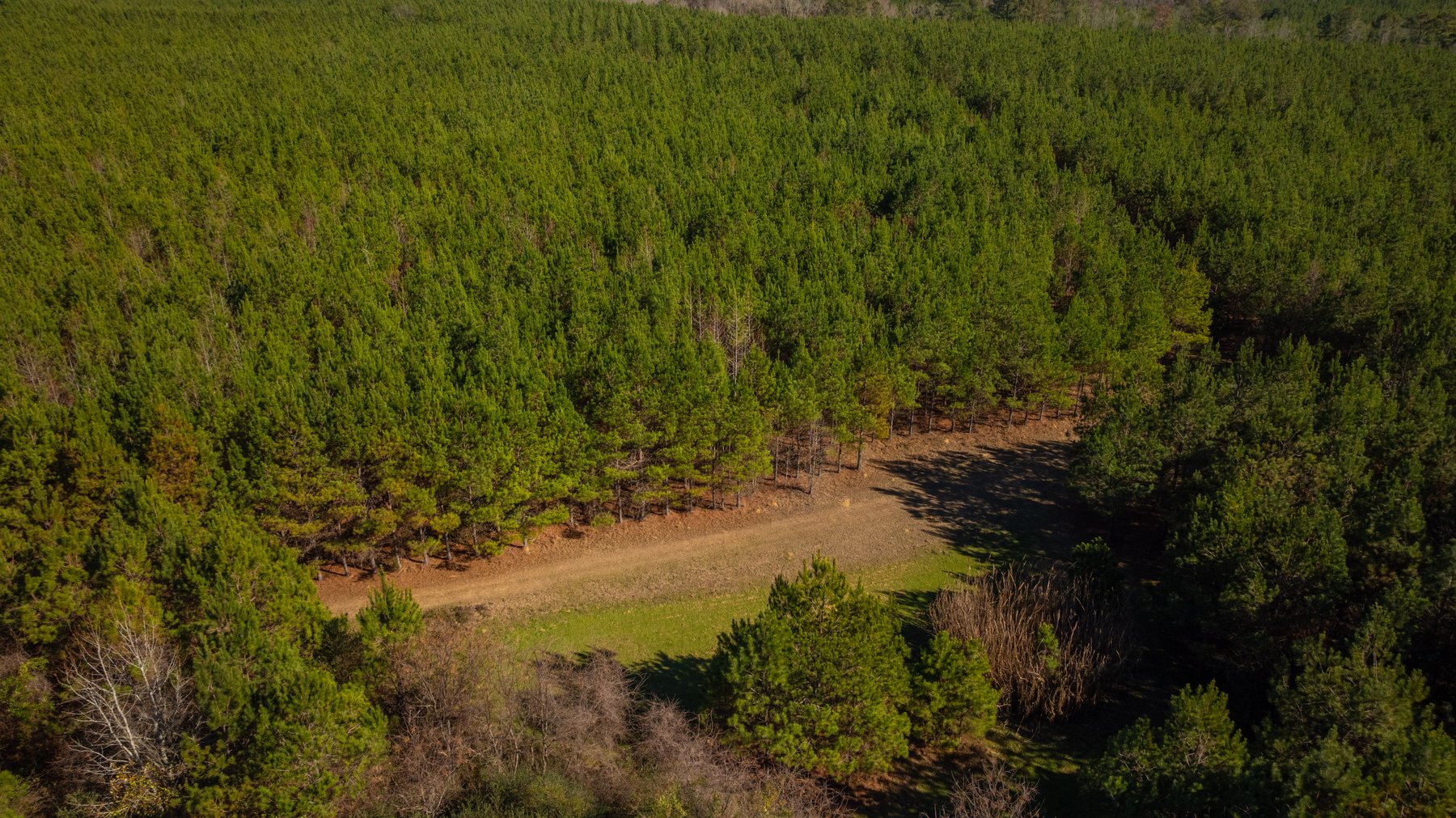 Image for 403± Total Acres - Minick Tract - Merchantable Planted Pine - Kinchafoonee Creek Frontage