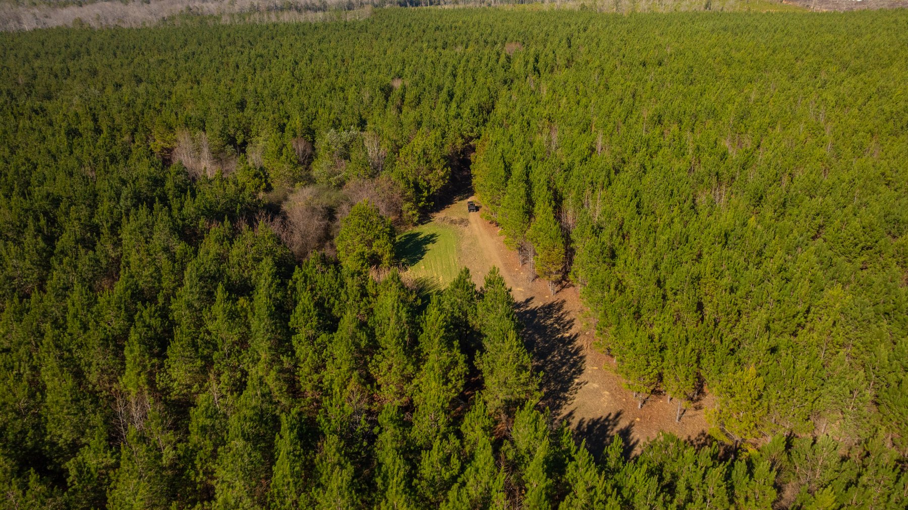 Image for 403± Total Acres - Minick Tract - Merchantable Planted Pine - Kinchafoonee Creek Frontage